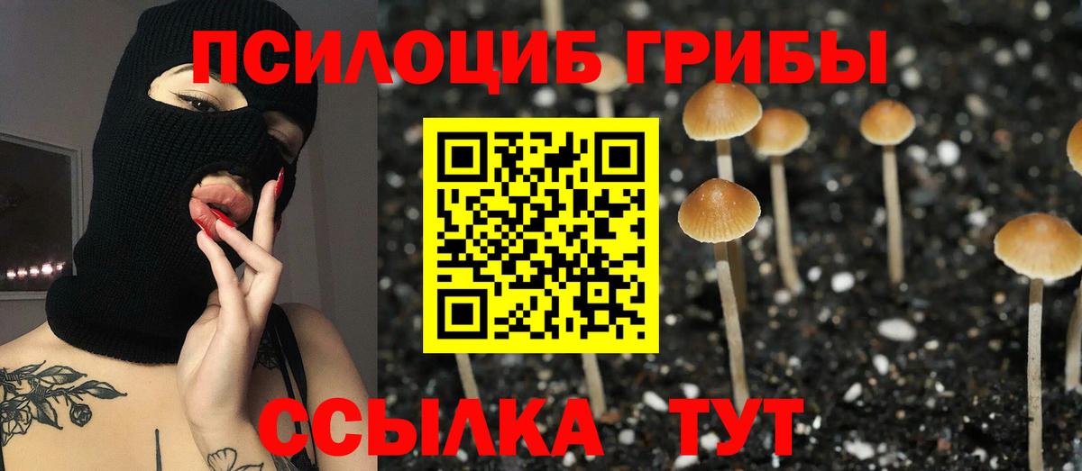 Пыть-Ях  Галлюциногенные грибы MAGIC MUSHROOMS  Вход с VPN 
